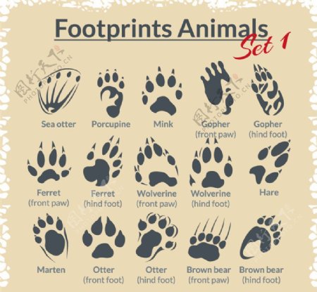 动物脚印设计矢量图