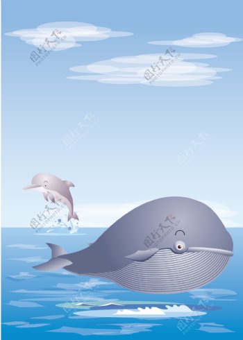 可爱的鲸鱼2