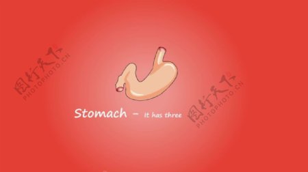 肠胃动画视频素材