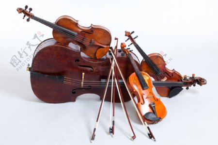 小提琴与大提琴图片