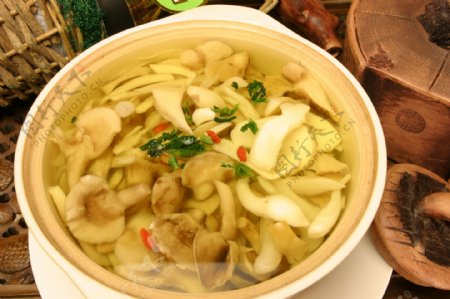 鲍鱼菇野生菌王汤煲图片