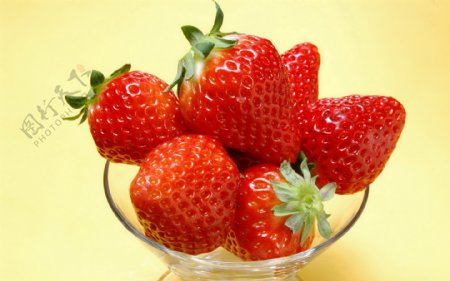 红红新鲜草莓图片