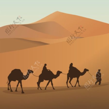 骆驼沙漠剪影