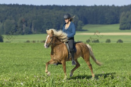 骑马的女人图片