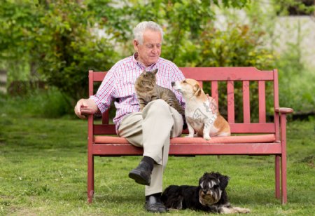 长椅上的老人与宠物图片