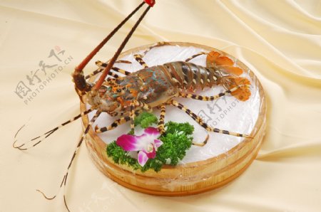 龙虾刺身图片