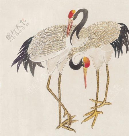 花鸟中国画35