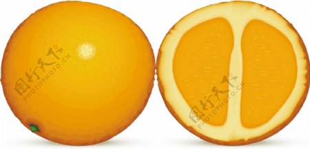 柑橘类水果1