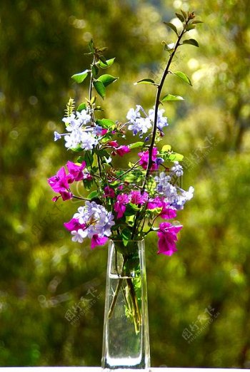 森林中插满鲜花的玻璃瓶