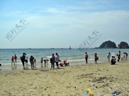 夏日海边人群风景图片