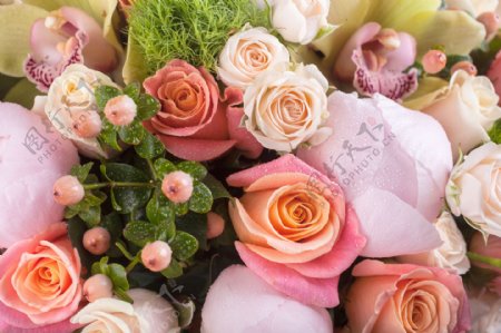 鲜艳粉色玫瑰花束图片