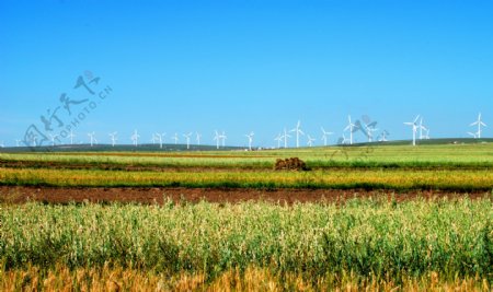 麦地与风力发电美景风图片