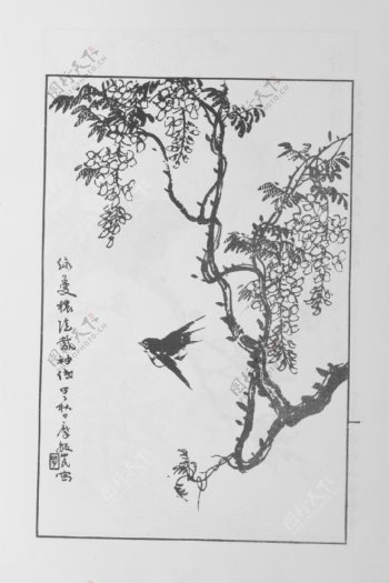 鸟兽画中国画当代名画大观正集25