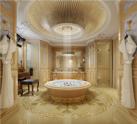 欧式豪华卫生间浴缸吊顶设计图