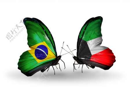 巴西国旗与蝴蝶
