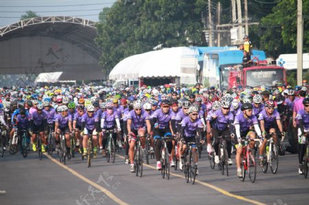 骑自行车的人群图片