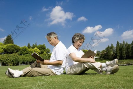 坐着草地上看书的老年人图片
