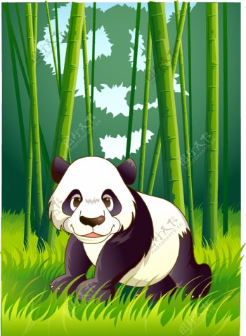 熊猫3