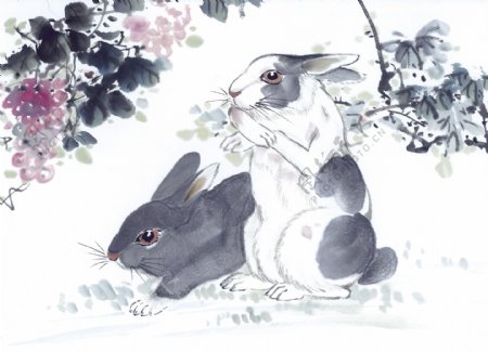 兔子写意动物画国画0076