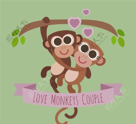 情侣猴子