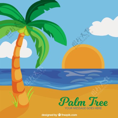 带棕榈树背景的彩色日落