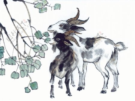 羊十二生肖中国画0047