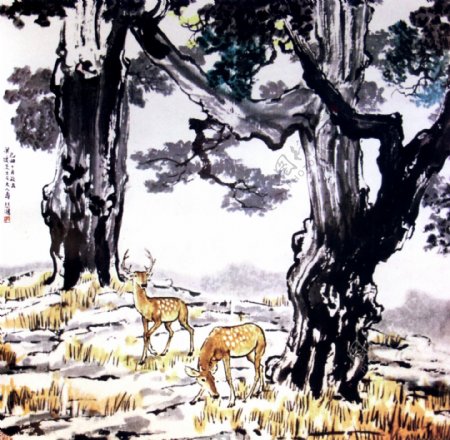 柏树双鹿中国画