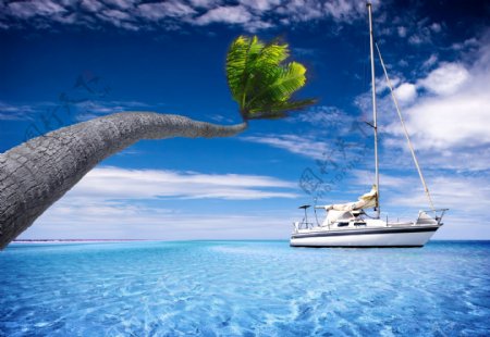 椰树与帆船风景图片