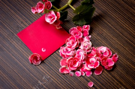 美丽的花朵爱心与红色卡片图片