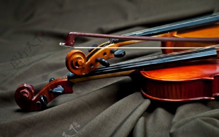 布面上的小提琴图片