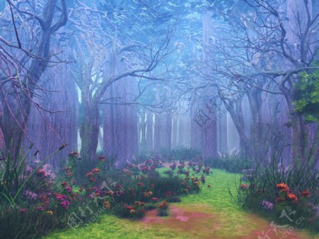 梦幻童话树林风景图片