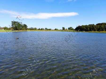 野鸭湖风景图片