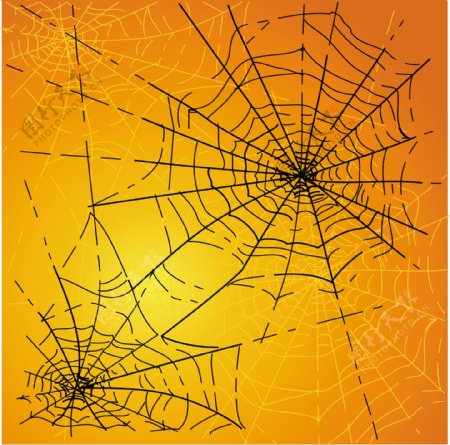 万圣节的蜘蛛网
