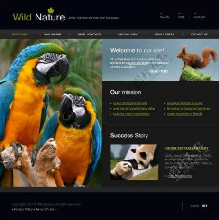 野生自然网站psd模板