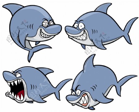 卡通鲨鱼
