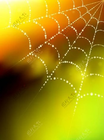 发光蜘蛛网与水滴模糊背景