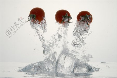 水中三个新鲜西红柿图片