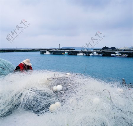 谋生方式采茶叶织布种植养蓄捕渔