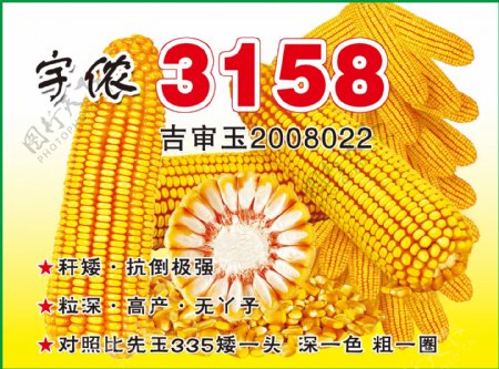 玉米农资海报玉米未分层