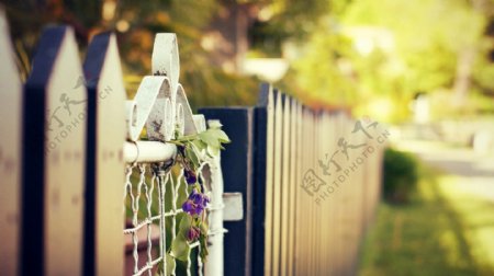栅栏花园婚纱摄影背景大图高清