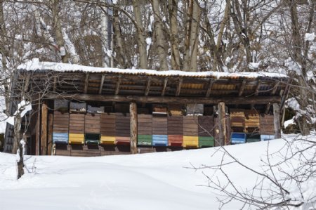 冬季的小木屋图片