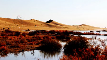 内蒙古沙漠图片