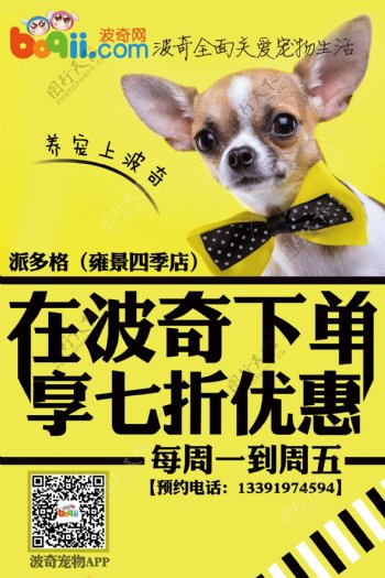 宠物海报设计