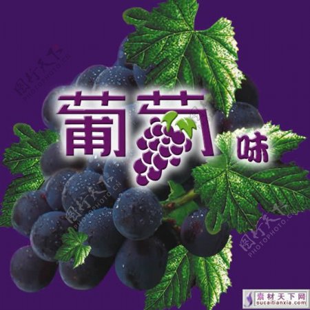 紫葡萄psd源文件