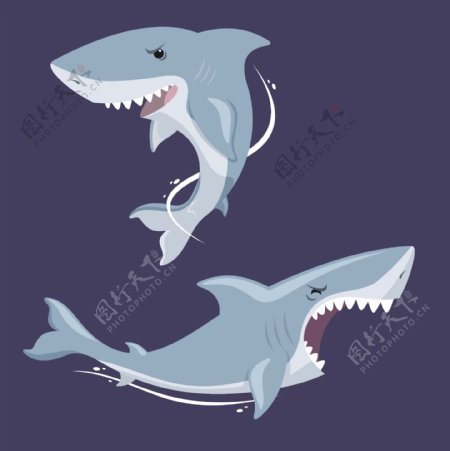 蓝色背景两只锋利牙齿的大鲨鱼