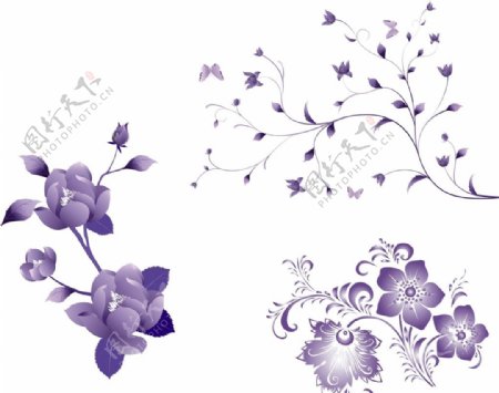 紫色花朵矢量花朵