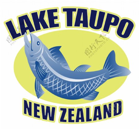 鳟鱼的陶波湖新西兰