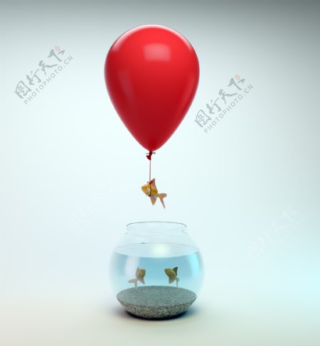 用气球飞出鱼缸的鱼