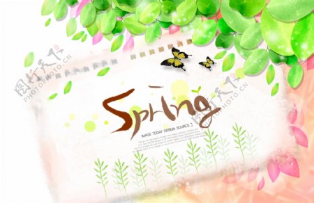 韩国风格花卉春天