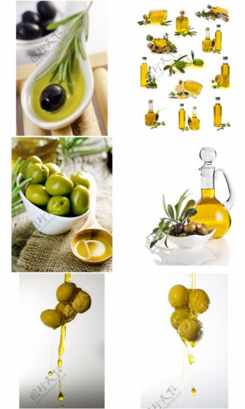 橄榄油和橄榄
